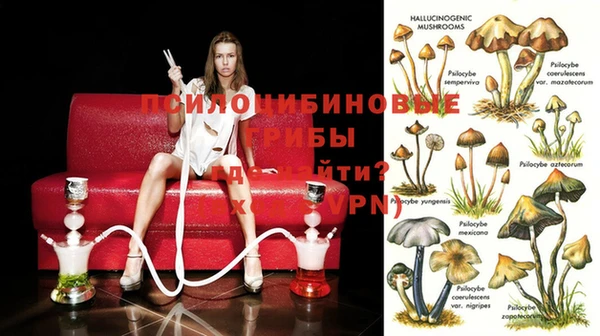 спиды Абдулино