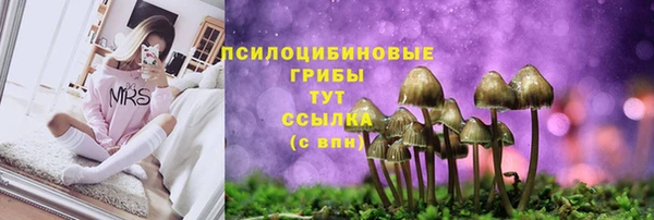 спиды Абдулино