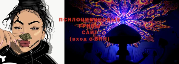 индика Покачи